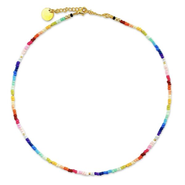 NEALIZ necklace Multicolor 2