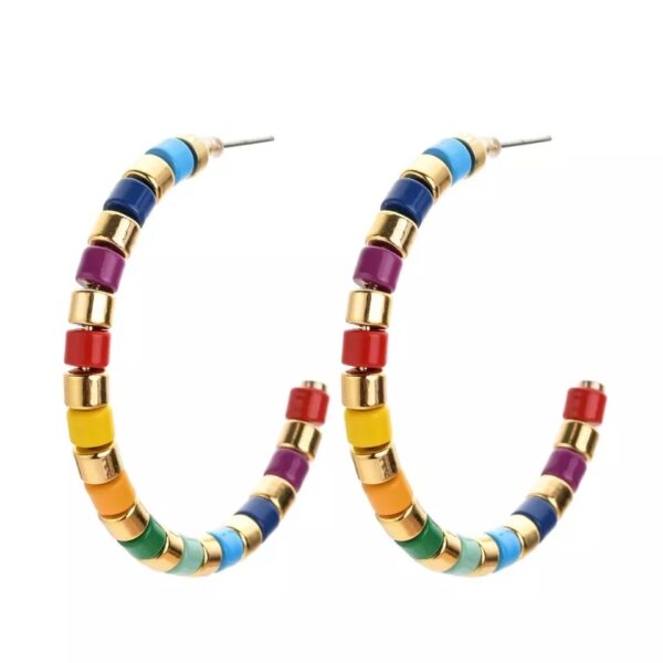 VALENTE earrings Multicolor