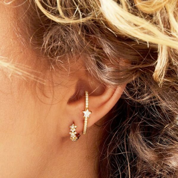VEAU earrings Gold Silver model
